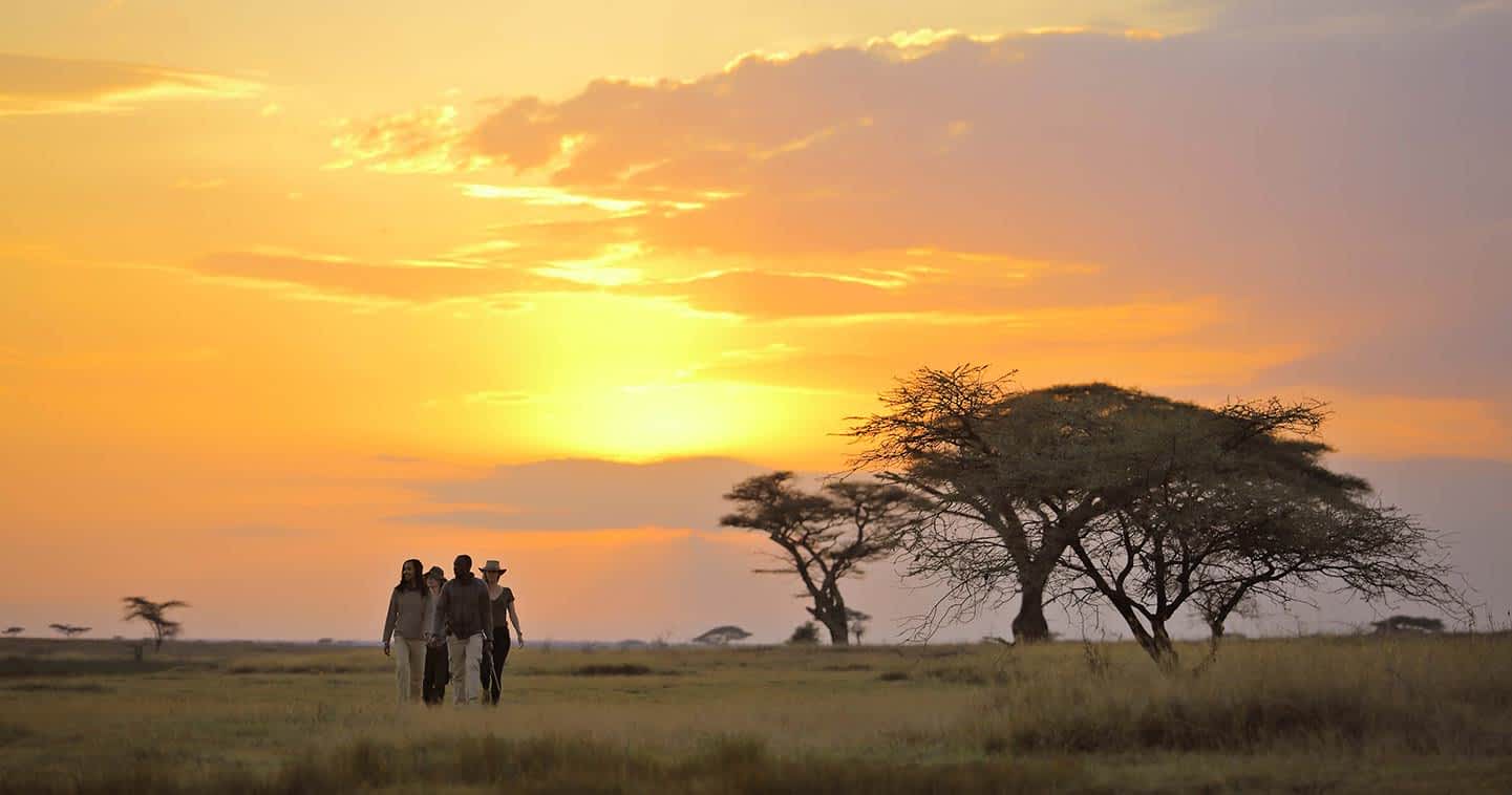 Savana Serengeti